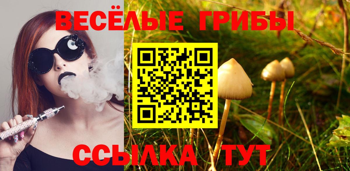 Красногорск  Галлюциногенные грибы GOLDEN TEACHER  Вход с VPN  Галлюциногенные грибы мухоморы 