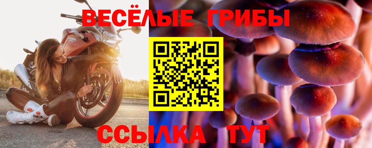 Псилоцибиновые грибы мицелий Красногорск